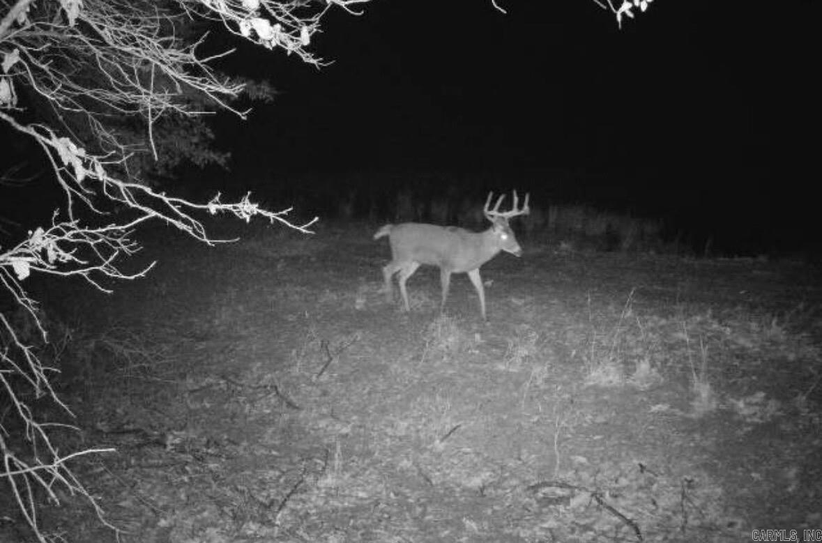 Metes & Bounds - Farm