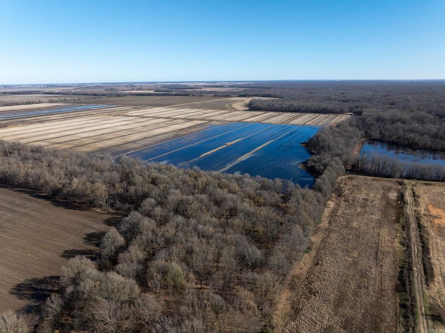 This tract is the perfect mix of agriculture and recreational hunting. This is a primarly tillable tract with 5+/- of woods and black river frontage on the south side. This offers an excellent opportunity to own productive farmland with added recreational value. The property is primarily planted in soybeans and rice. With one electric irrigation well providing dependable water for crop production and flooding for waterfowl. Precision leveled with productive soils and usually protected from natural flooding from Black River. The timber on the southern side is the perfect place to hide a comfortable duck blind.   Adding to its appeal, the property is conveniently located bordering the Kody Riggan Datto access on the Black River, which is owned and maintained by the Arkansas Game & Fish Commission, offering nearby public access for boating, fishing, and recreation.  With electric in place there is also opportunites for building a hunting lodge or multiple cabins for seasonal outdoorsman.  This property is ideal for buyers seeking a strong agricultural investment, a recreational hunting tract for both deer and waterfowl, or a combination of both in a highly desirable river corridor.