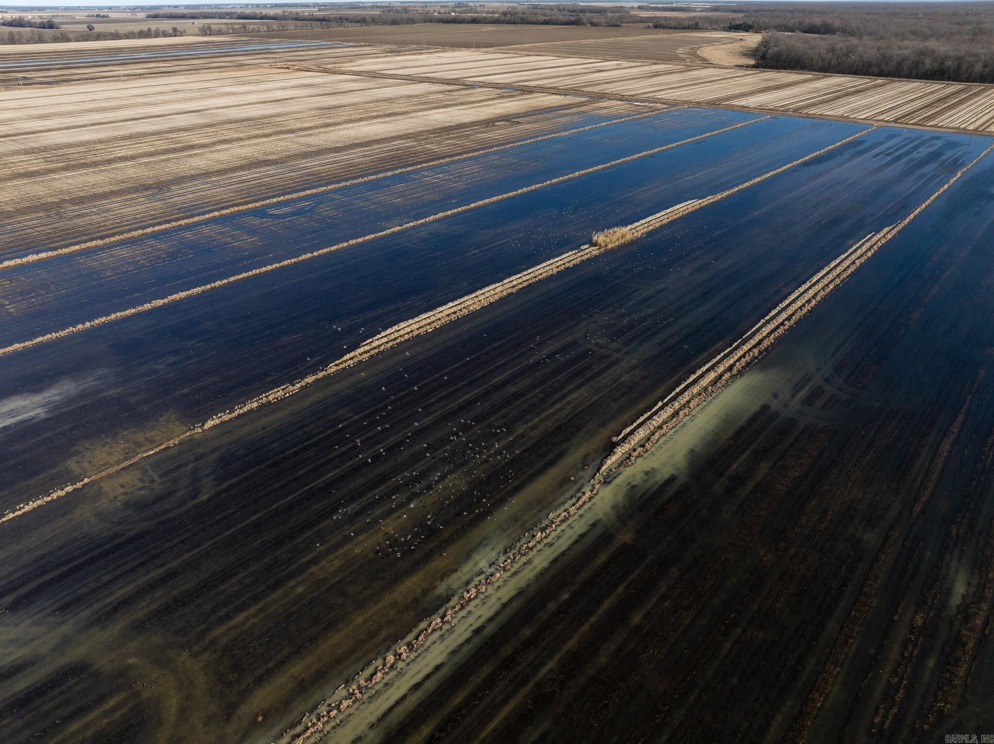 Metes & Bounds - Farm