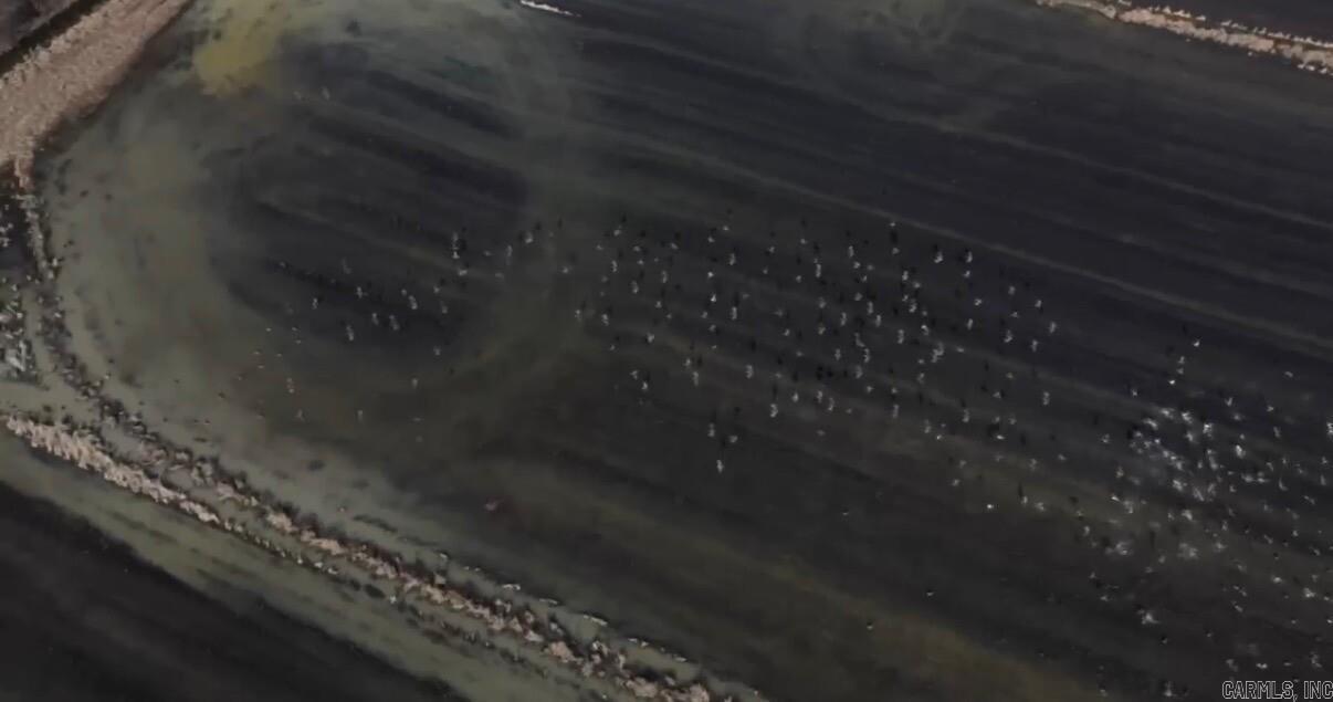 Metes & Bounds - Farm