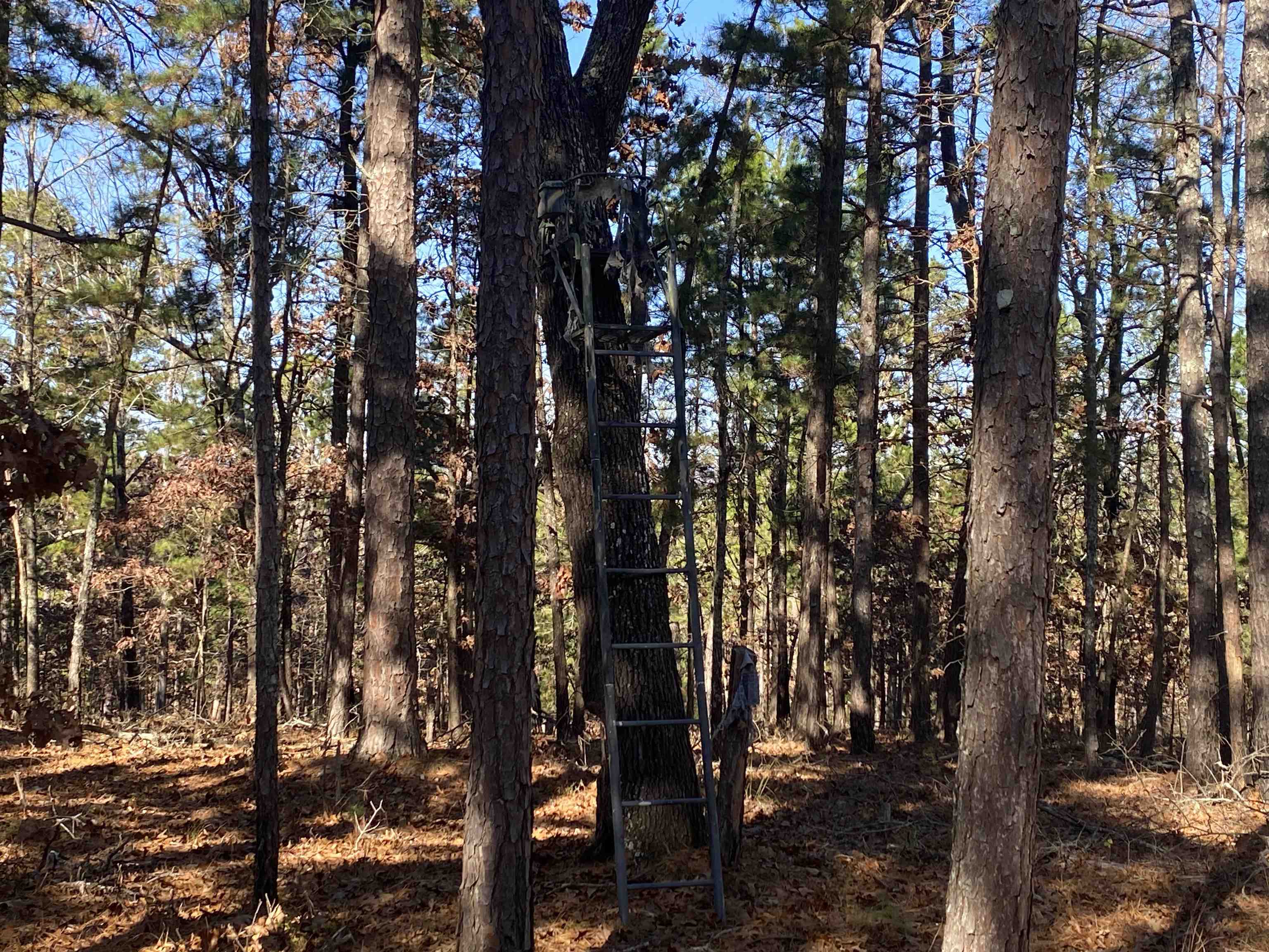 Metes & Bounds - Land