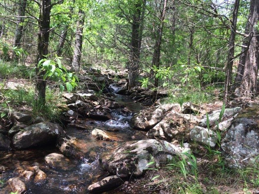 Just 10 minutes outside of Dardanelle, lays this tract in Logan County near Delaware. This extraordinary opportunity is a sprawling 20 +/- acre tract of land that seamlessly blends the attraction of mature, merchantable timber with exceptional recreational value. The property's natural beauty is enhanced by the presence of these well-established trees, a testament to the passage of time and the care with which the land has been nurtured. Seasonal creek is refreshing and adds to the beauty of this property. Mineral Rights and Gas Well will Convey!