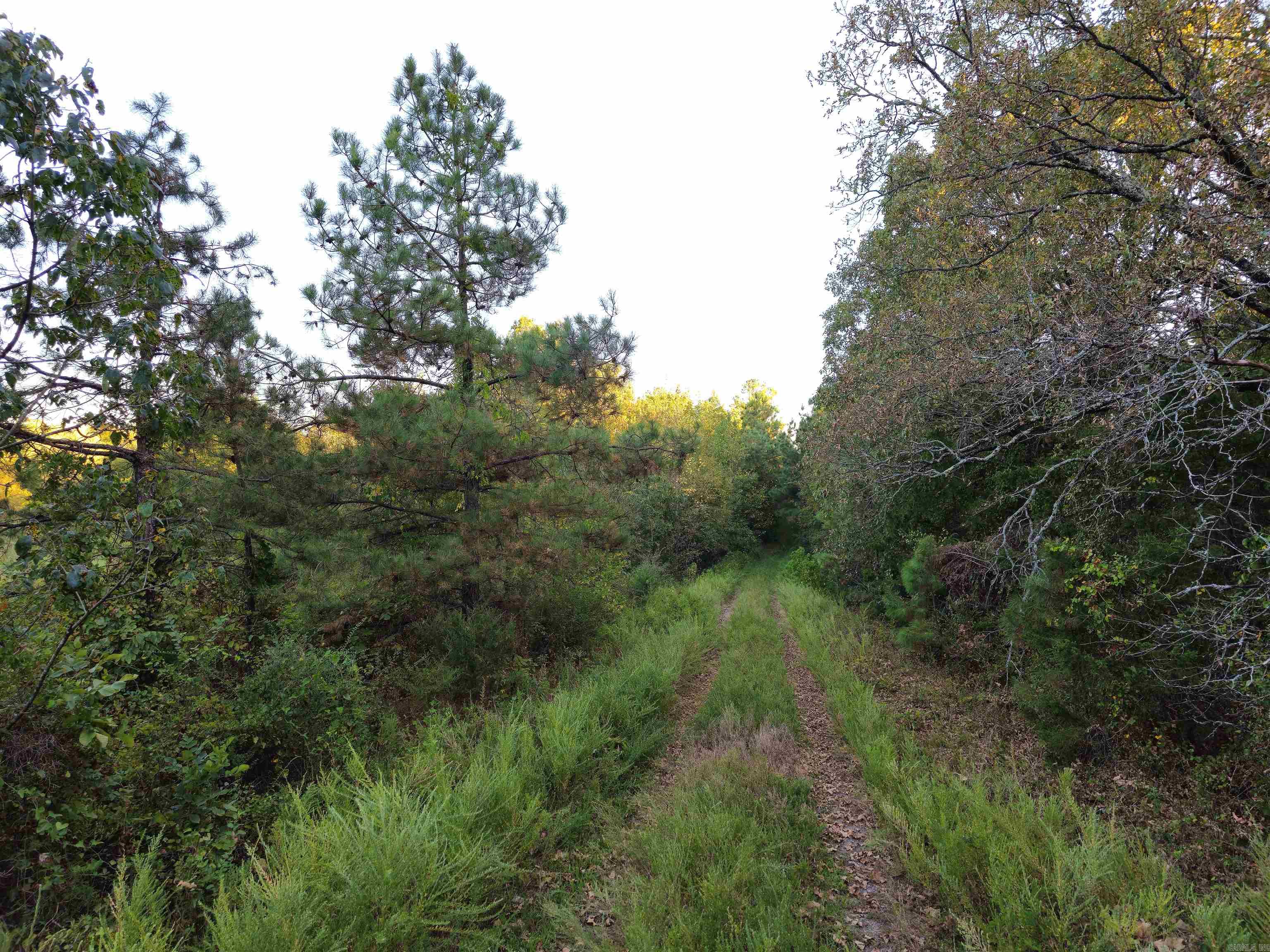 Not in Subdivision - Land