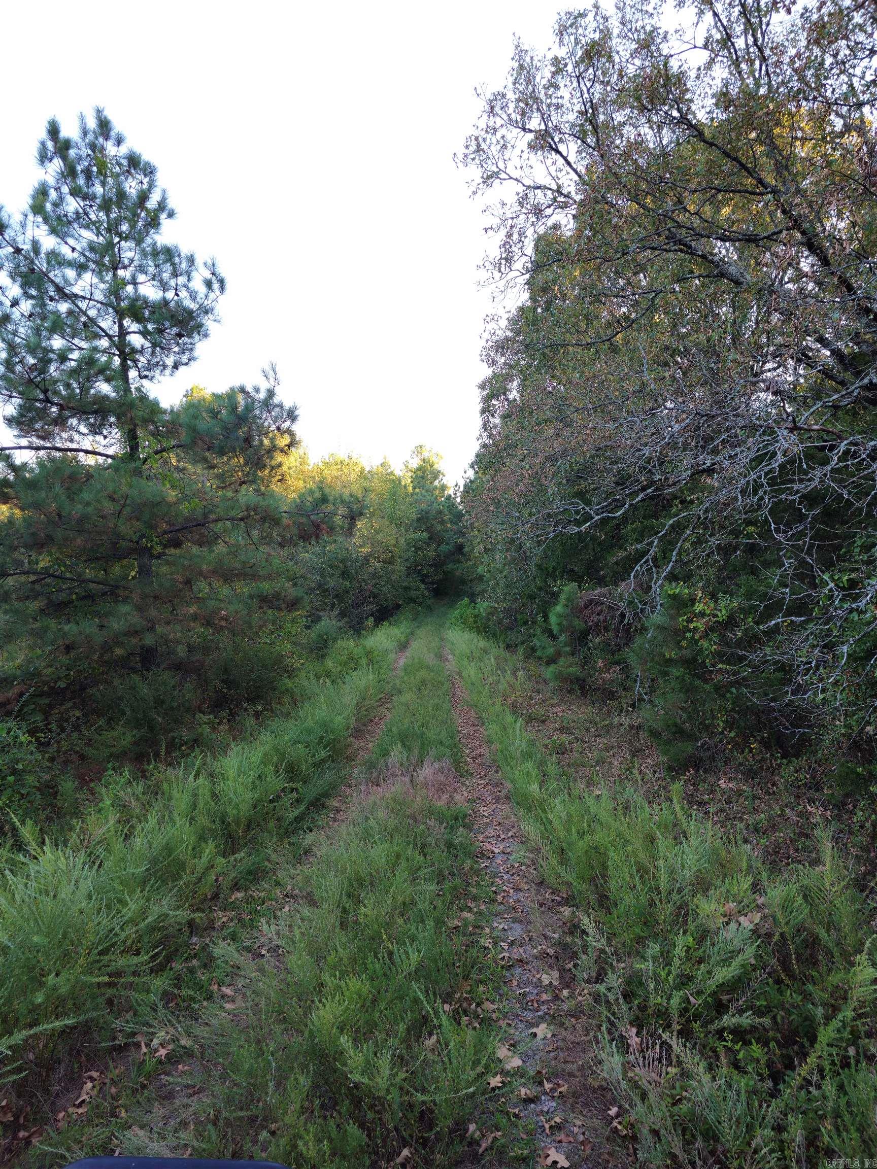 Not in Subdivision - Land