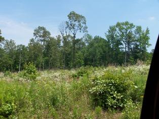 Lower Lake Road - Land