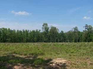 Lower Lake Road - Land