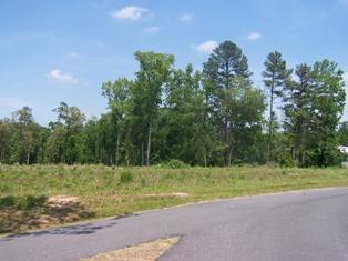 Lower Lake Road - Land
