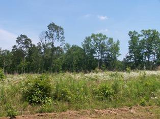 Lower Lake Road - Land