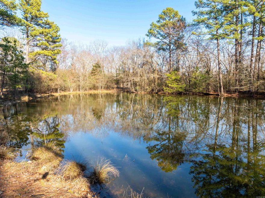 First time on the market! Rare opportunity to own 24 acres close to Lake Hamilton AND Lake Ouachita! Maybe you want to build your dream home or you have dreamt of owning livestock, the possibilities are endless!