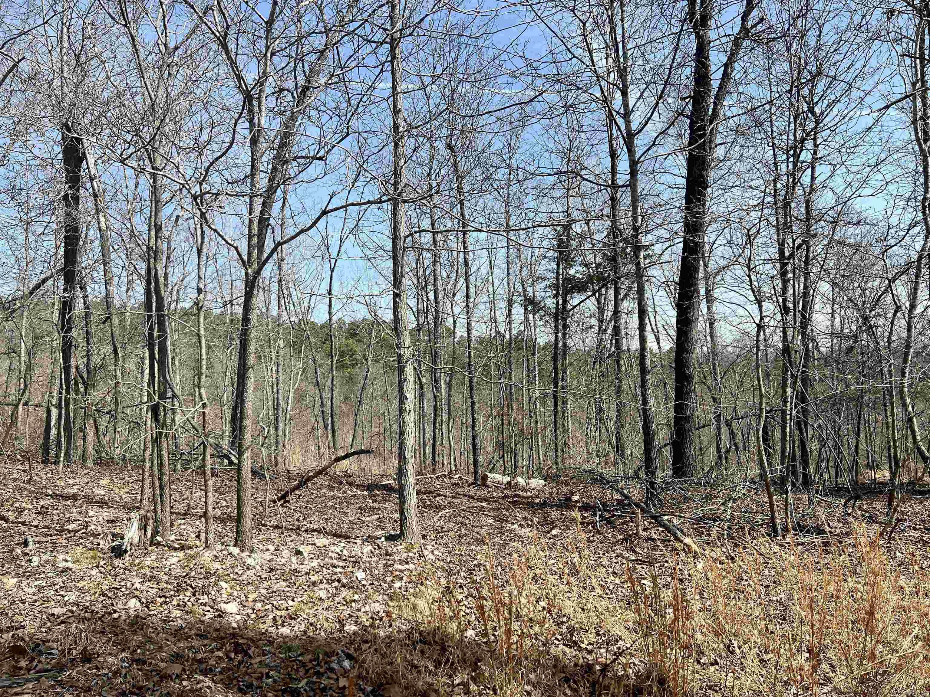 Not in Subdivision - Land