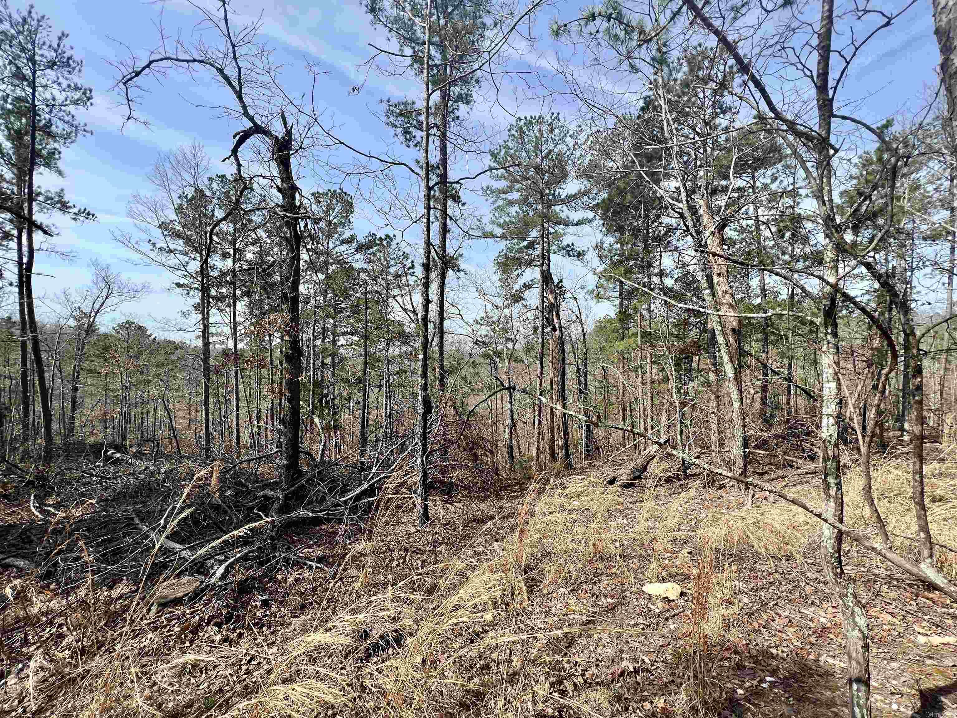 Not in Subdivision - Land