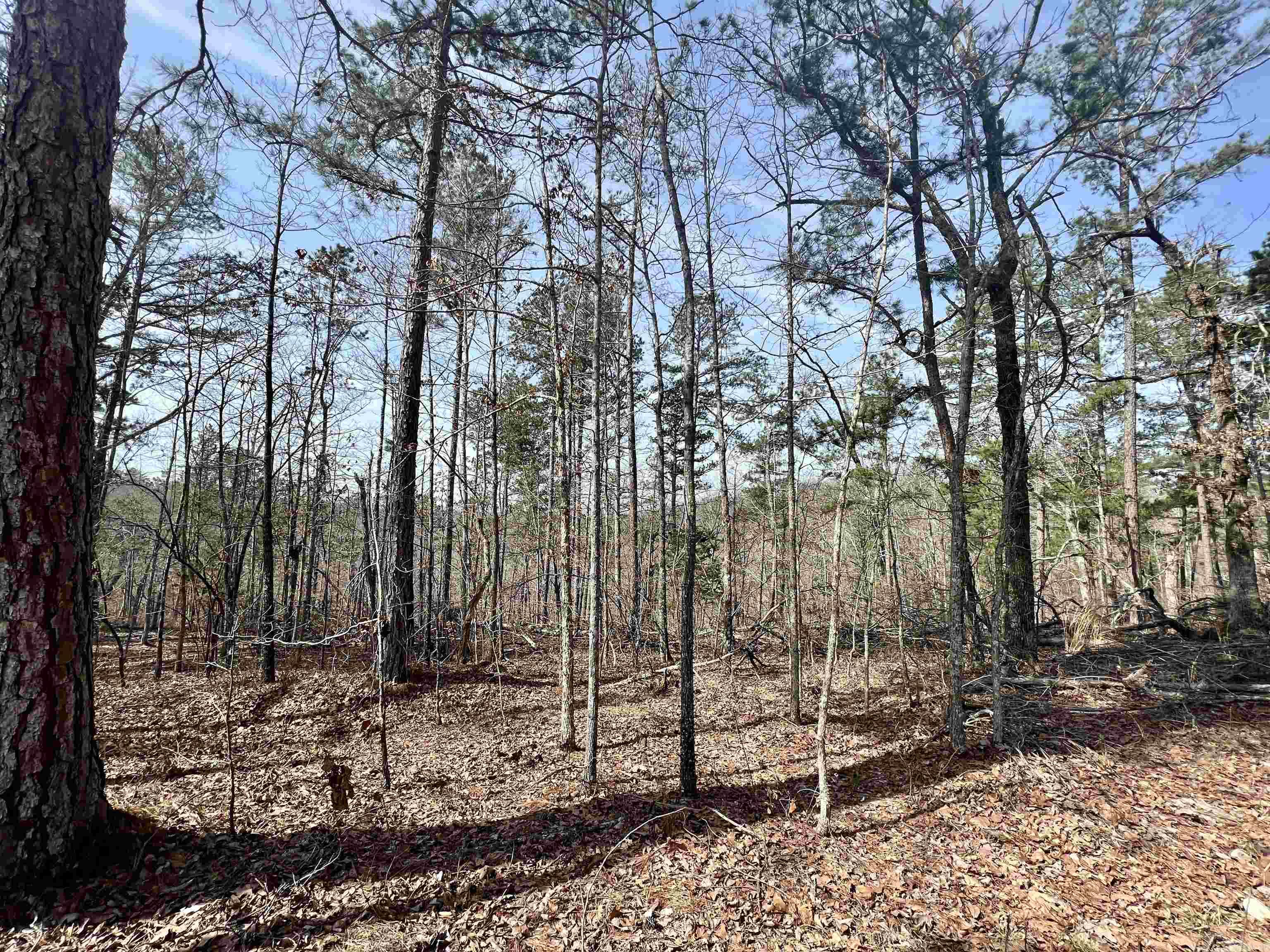 Not in Subdivision - Land