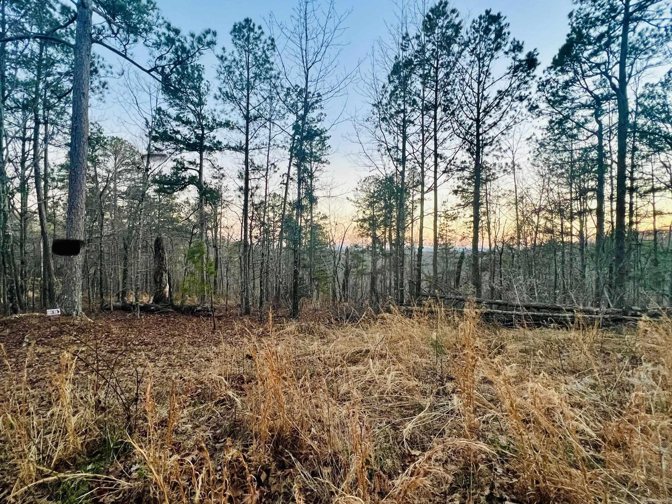 5acres m/L. Unrestricted, and joining Buffalo National Park Service. Located less than ½ mile down gravel road, and within 2 miles of river access. Power along road at property. Potential for good Southern views with some clearing.