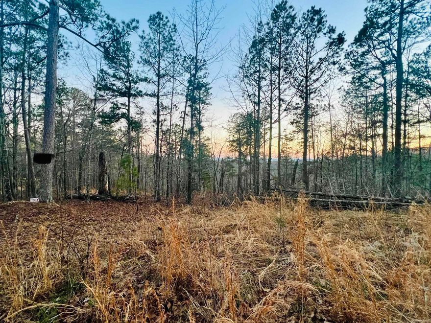 5acres m/L.  Unrestricted, and joining Buffalo National Park Service.  Located less than ½ mile down gravel road, and within 2 miles of river access.  Power along road at property.  Potential for good Southern views with some clearing.