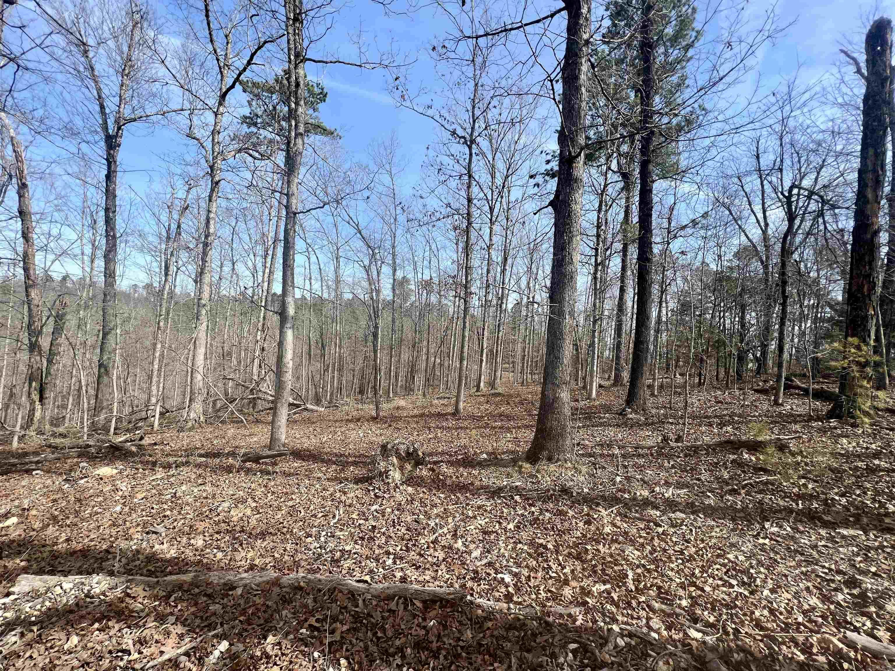 Not in Subdivision - Land