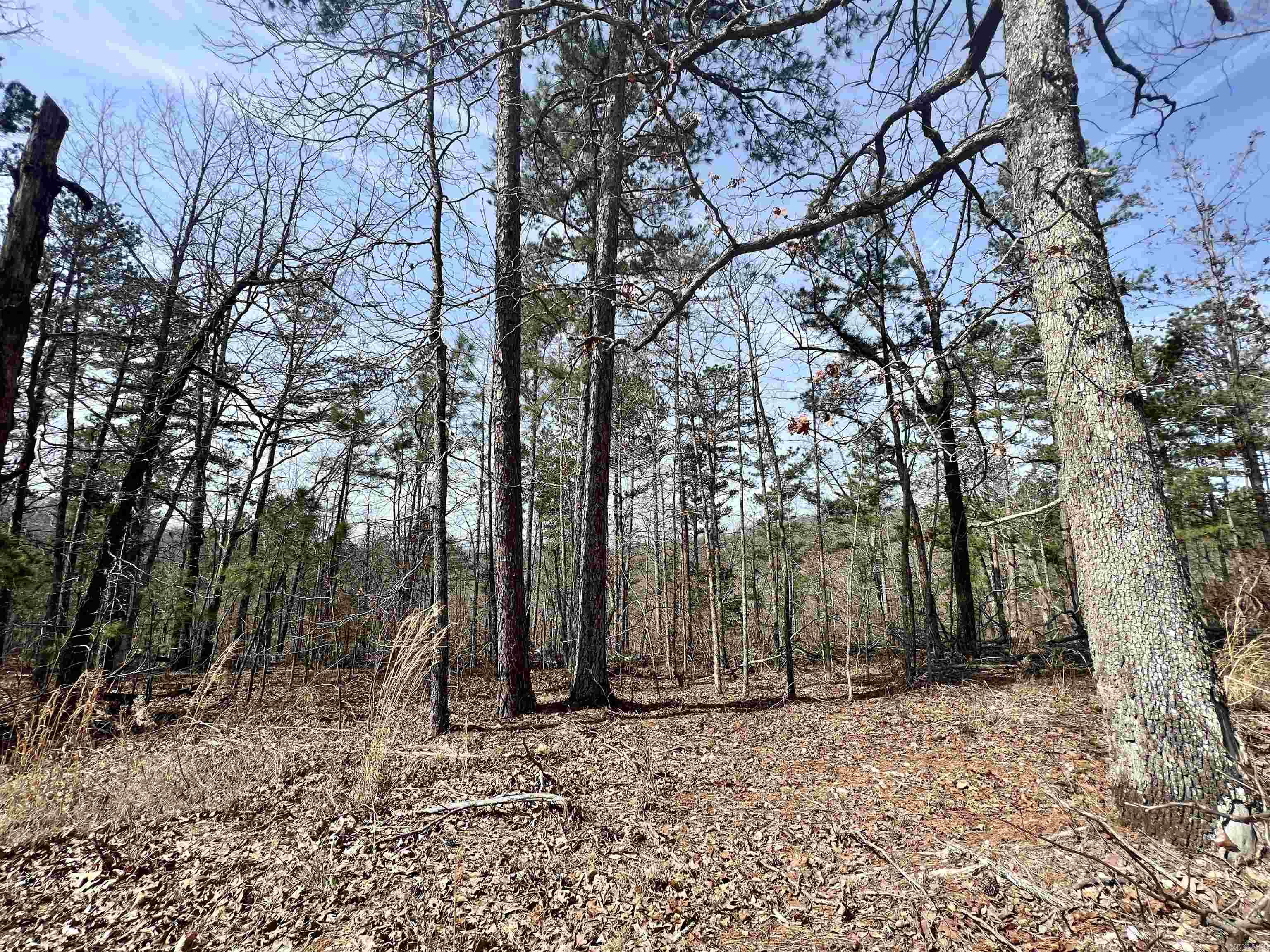 Not in Subdivision - Land