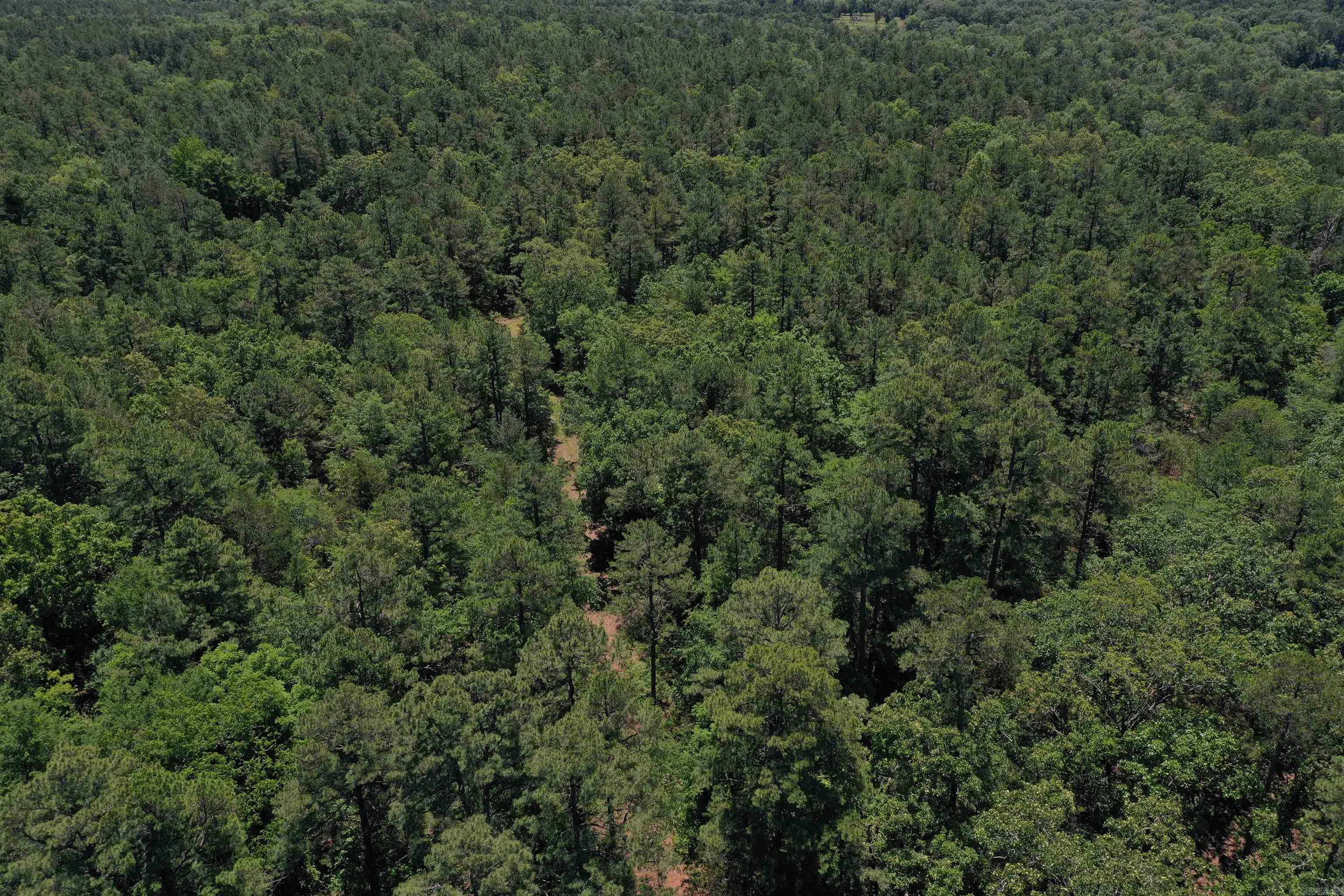 If you are looking for a quiet and secluded property to build your dream home, you will not want to miss this 45 +/- acres. Located just five minutes south of Booneville, with less than a half mile of gravel road to access the property, it is both convenient and secluded. The acreage is accessed from a 375-foot-long deeded easement that has an established road in place. Several beautiful build sites would be perfect for a home or cabin, and power and water are available at the county road. ATV trails traverse through the mature timber across a majority of the property, making access to the food plot areas and your new favorite stand locations a breeze. Not only does the property offer great deer hunting and outdoor opportunities such as hiking and camping, but the nearby area does as well. Logan County is home to popular destinations such as Mount Magazine State Park, the Ozark National Forest, and thousands of public acres of outdoor opportunities. All of thus is located conveniently 5 miles south of Booneville, and just 45 Minutes from Fort Smith. Call today to schedule your UTV tour!