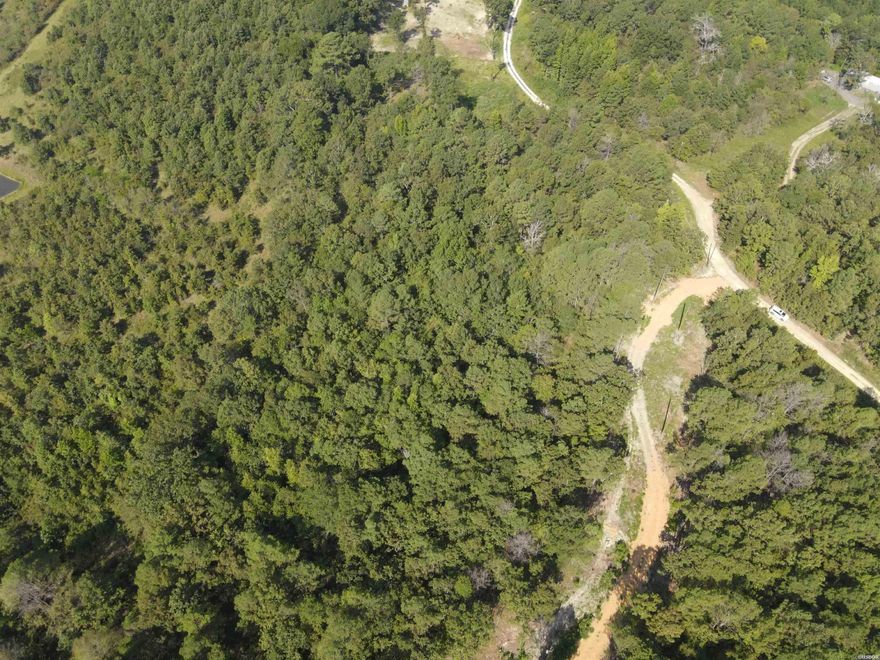 Peace & tranquility is what you’ll enjoy with this 1.68 acres, located in the secluded Ponderosa community, just 10 minutes from Lake Degray and 20 minutes from Hot Springs. The property offers plenty of privacy with mature trees and has several home sites with one site already cleared. Live off grid or connect to electric, Kimzey water & CATC fiber optic at the road. Various wildlife spotted in the area includes deer, ducks, geese, turkey and bald eagles. Nature’s calling you. Grab your Builder and House Plans and schedule your appointment today!