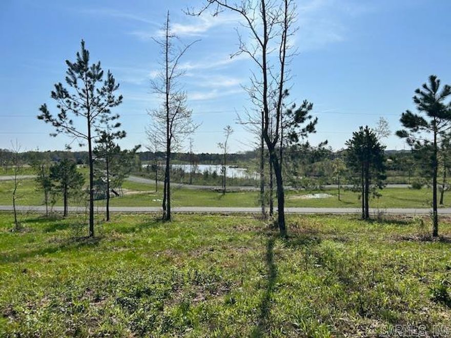 Situated in a quaint gated community, this property provides an intimate and peaceful setting, perfect for those who appreciate a close-knit community and the beauty of a smaller lake.  With direct access to the tranquil waters, you can enjoy leisurely strolls along the shoreline, paddleboarding, or simply relishing quiet moments surrounded by nature. The small size of the community ensures a tight-knit atmosphere, fostering a sense of camaraderie among neighbors. This lot is not just a piece of land; it's an invitation to create your personal haven, where you can escape the hustle and bustle of everyday life. Minimum 1350 sqft.