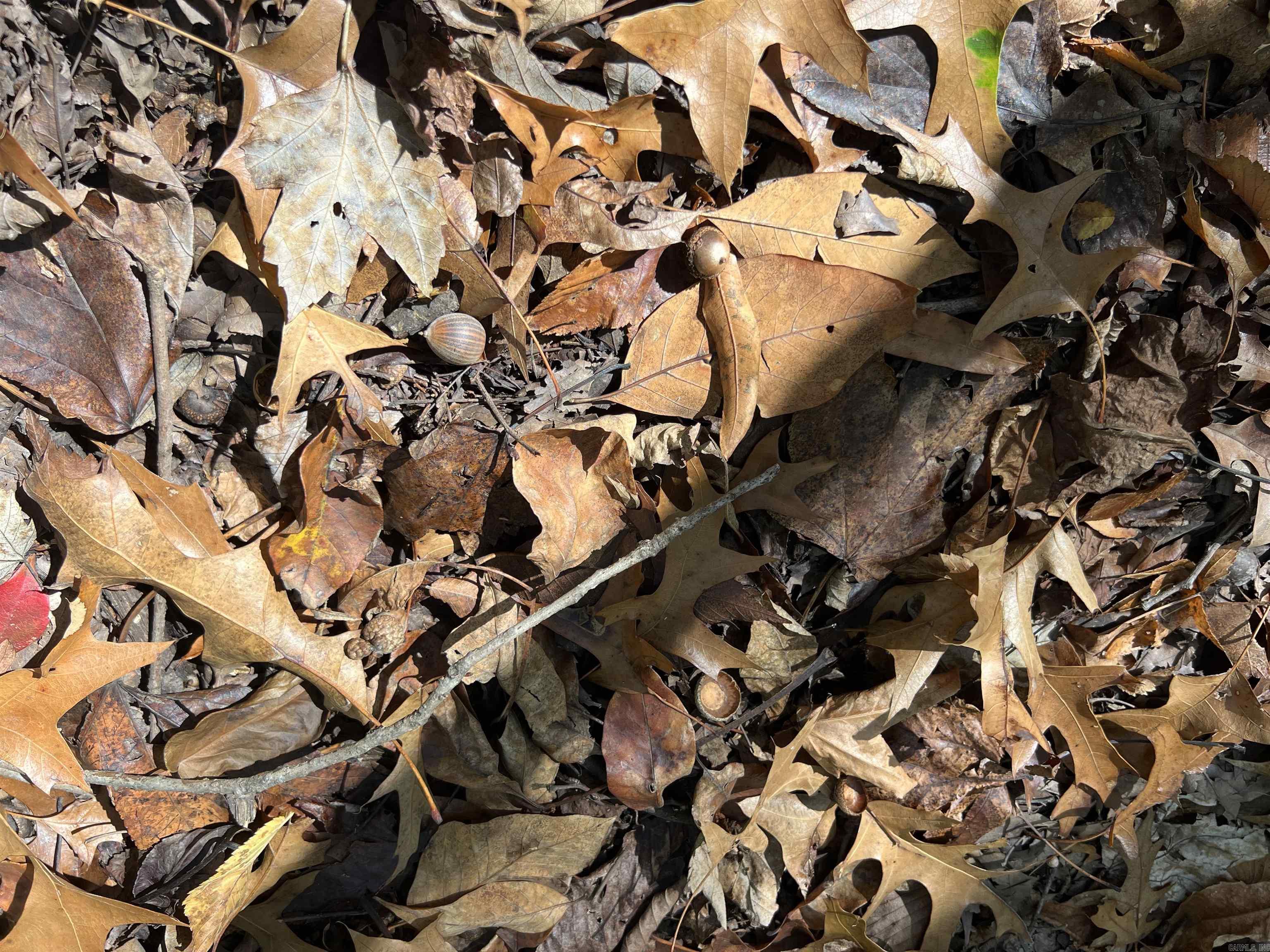 Metes & Bounds - Land