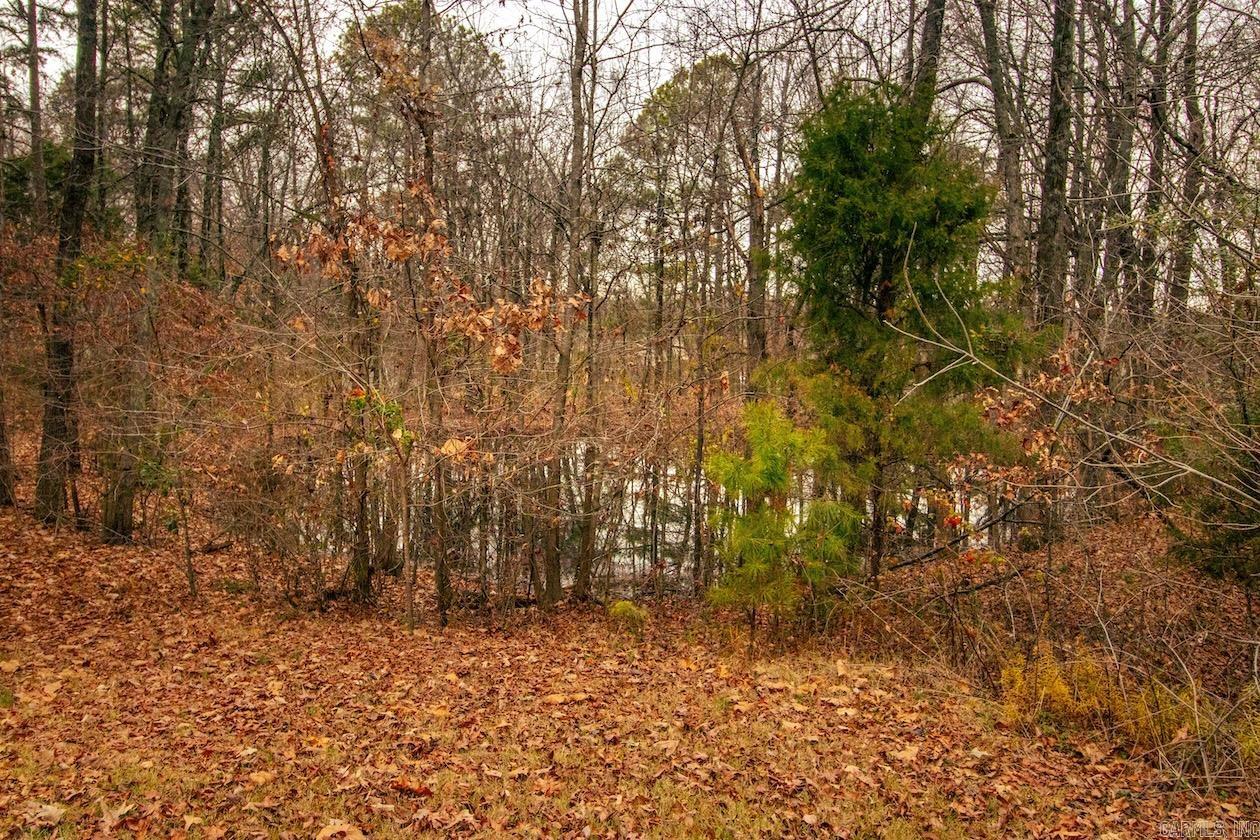 Pine Hills - Residential