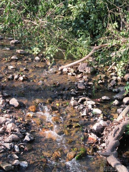 Brodie Creek - Residential