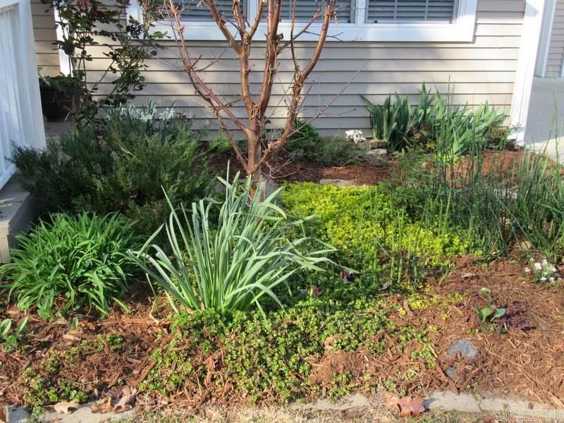 Brodie Creek - Residential