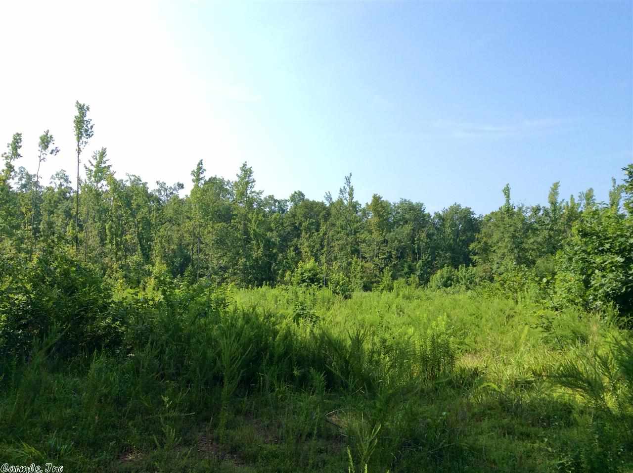 Boggs Springs - Land