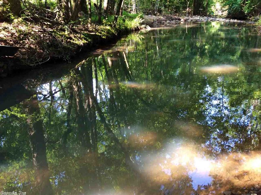 7.9 acres very close to Bogg Springs recreational area.  This acreage has a creek and is wooded.