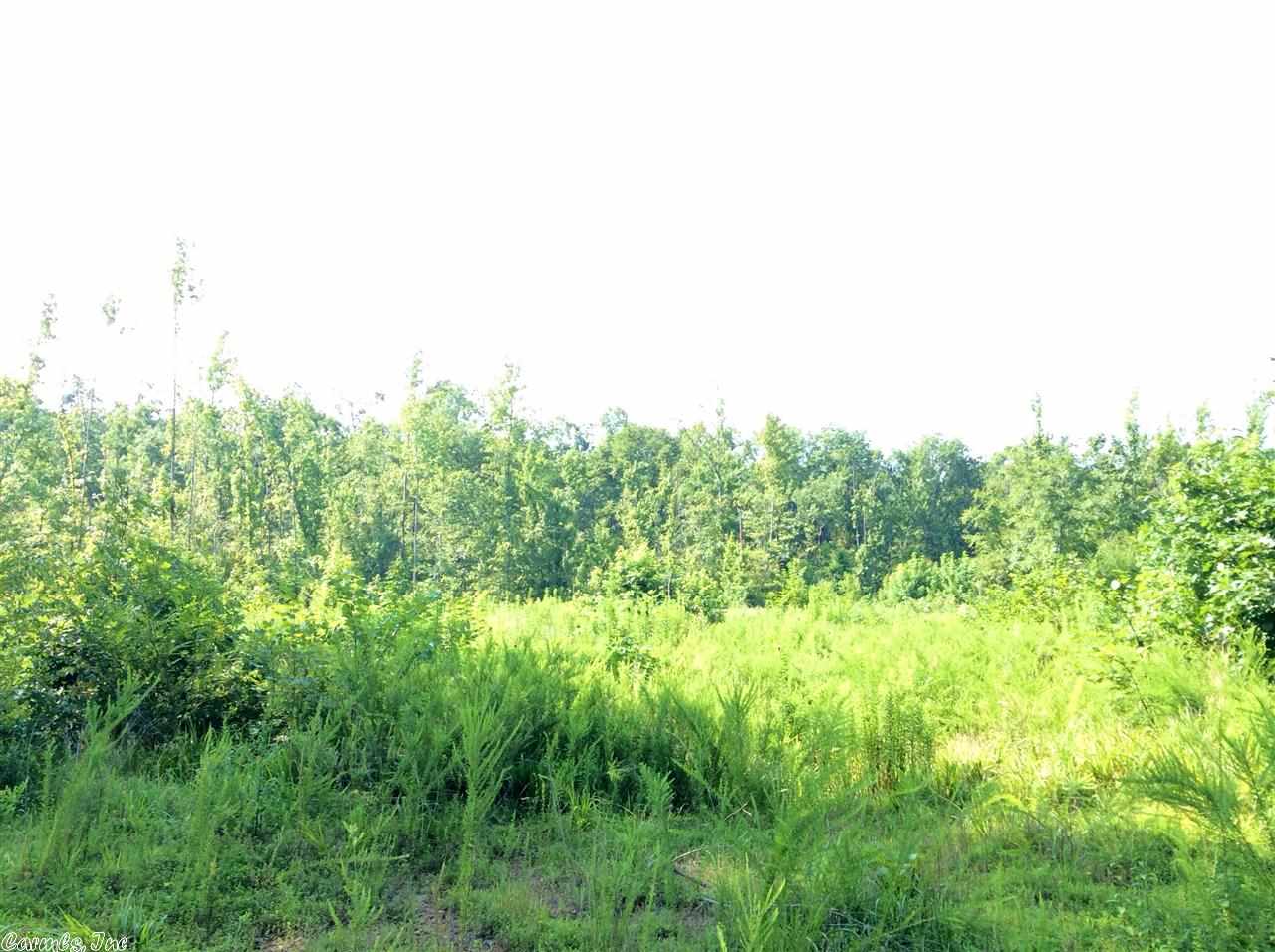 Boggs Springs - Land