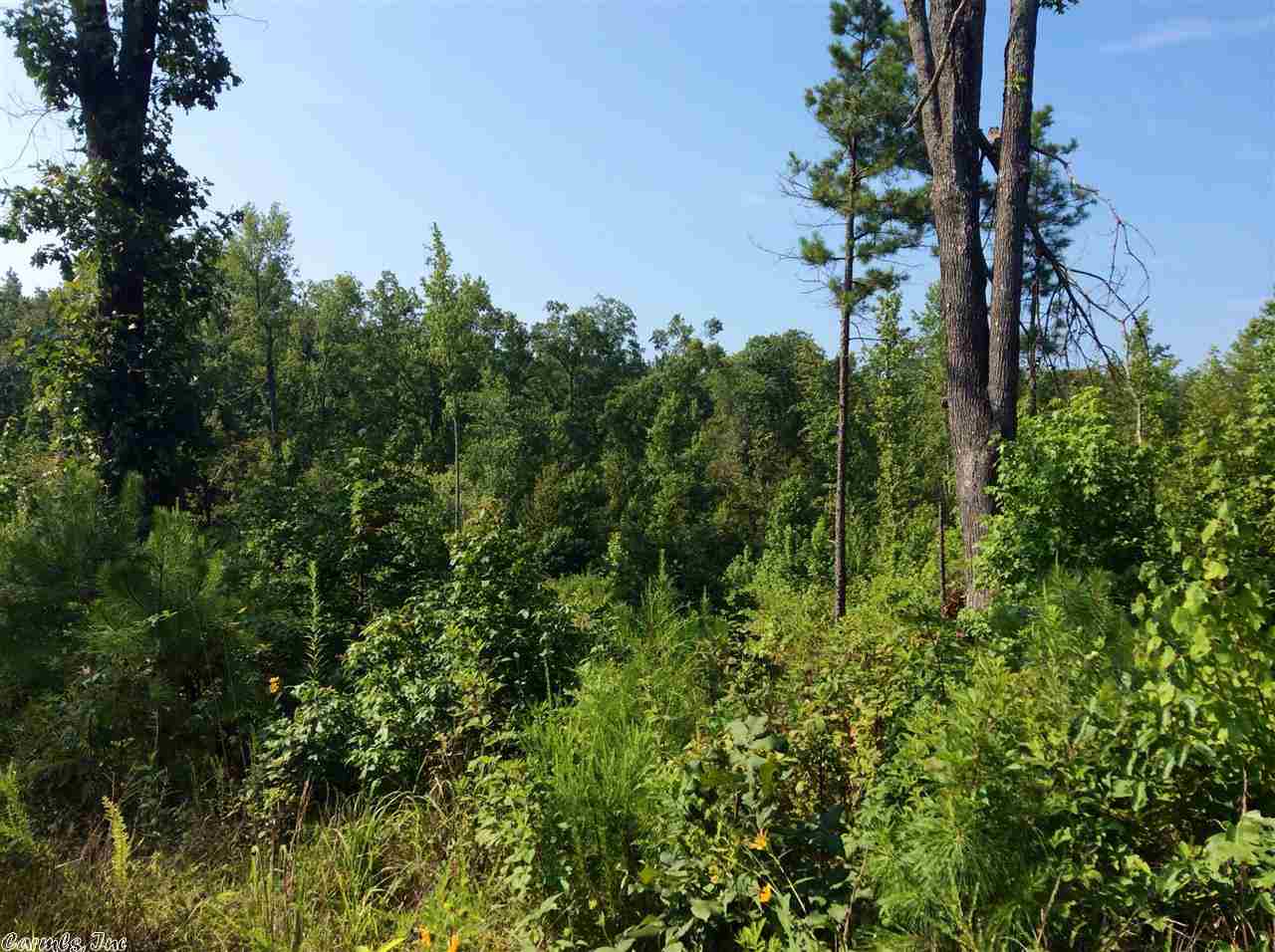 Boggs Springs - Land