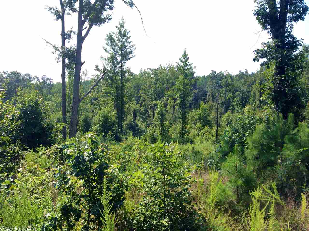 Boggs Springs - Land