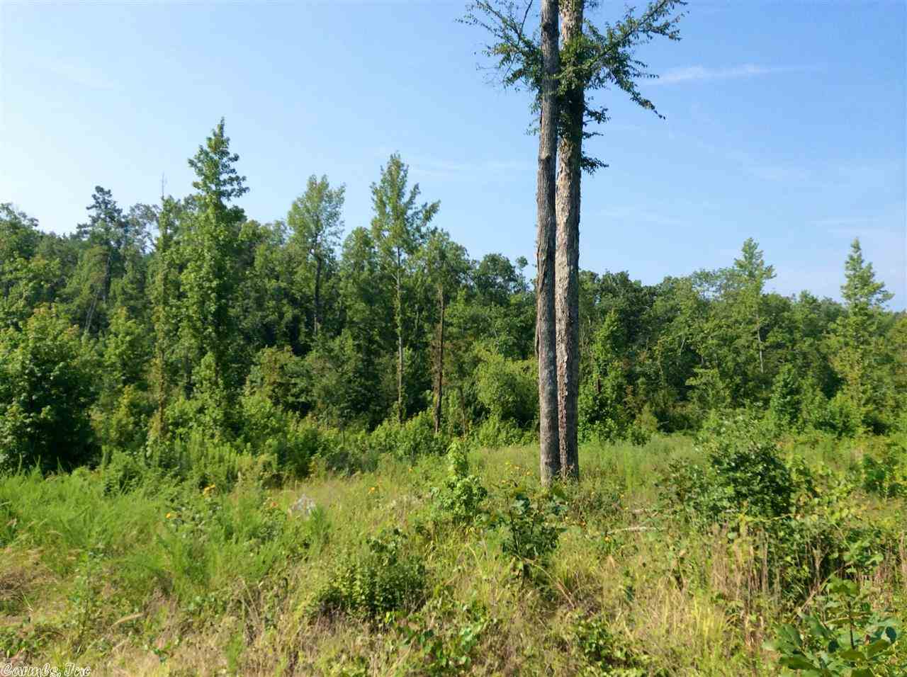 Boggs Springs - Land