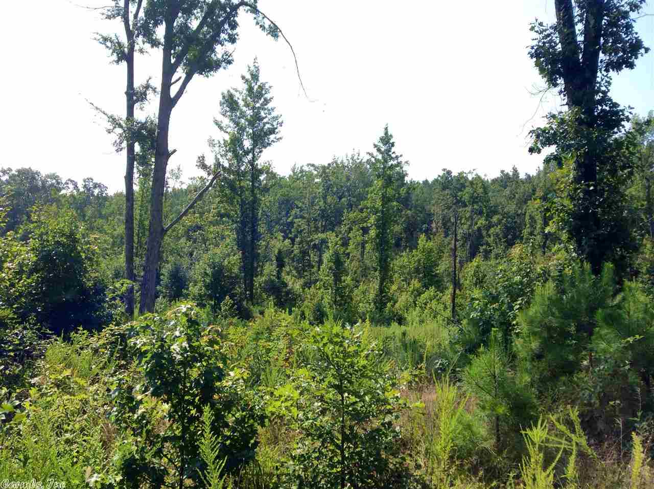 Boggs Springs - Land