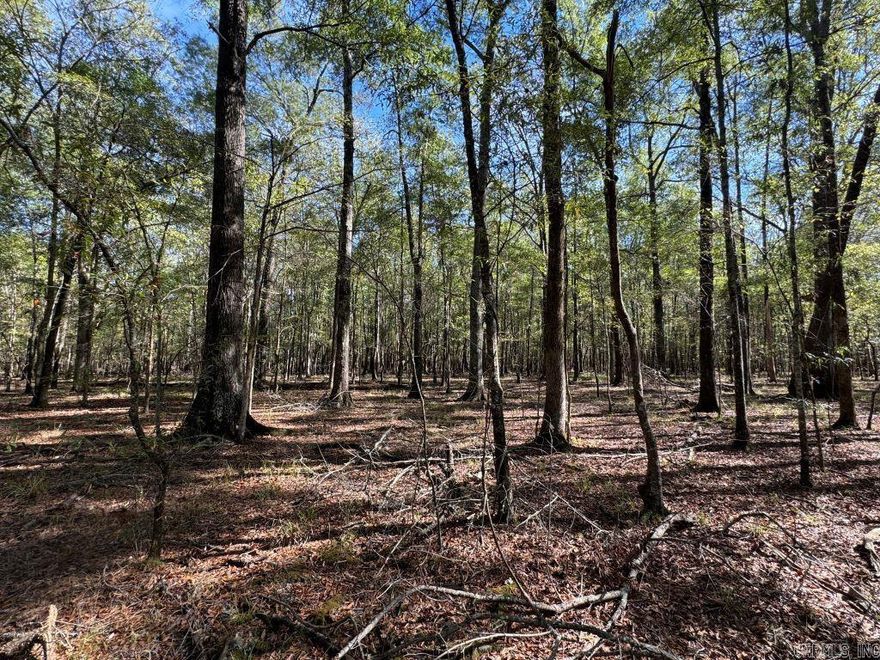 Escape to nature and discover your private paradise on 60 +/- acres of beautiful, mature hardwoods. This property is only 10 minutes from Arkadelphia, making it an excellent hunting spot. The mature timber also provides a solid investment opportunity. Utilities are available on Open Banks Road. Call today for more information!