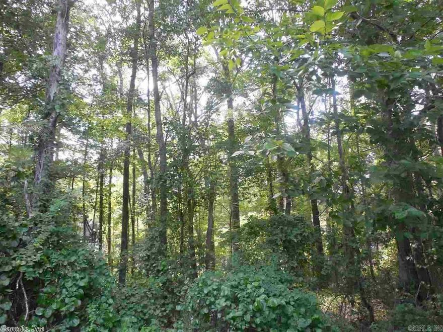 Here is your 19 acres that would make a great home place or we already have the plot plans with lots for a subdivision ready for a developer. This land has 4 roads that go to it. It also has a lot of pine timber that could be sold if you buy it to help pay for it. Lots of possibilities here. Right off the freeway in Little Rock. Get off at Bingham exit and 2nd road on right. Possible owner financing available with a down payment.