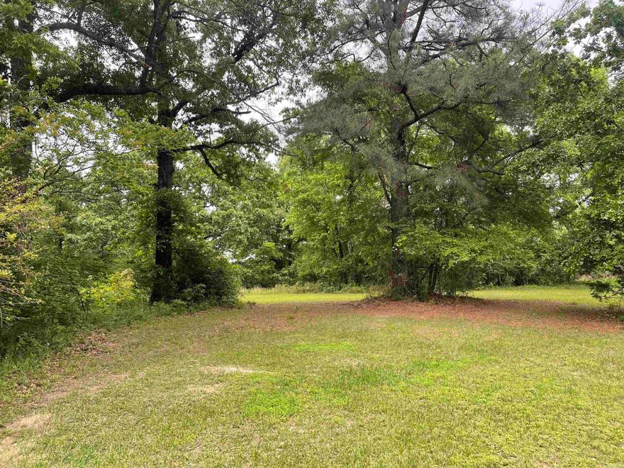 Discover the potential of this beautiful 20.95-acre tract featuring a natural mix of pine and hardwood timber.  The property provides a peaceful rural setting with abundant wildlife, making it ideal for recreational use, hunting, or a forever home.  There are multiple building sites, which could be subdivided into smaller tracts. Great location, just minutes to DeQueen Lake.  Paved road access off of North Ninth Street.