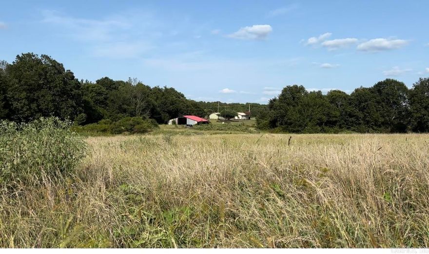 Beautiful building site.  This property is a must see.  There is plenty of room to build toward the back of the property to be more secluded, or build toward the front of the property with highway frontage.  This property has had a new septic system put in, electric, and a new water meter.  All the utilities needed to start building your dream home.  Watch the deer drinking from the small pond located at the back of the property as well.  This property has a large pole barn also.