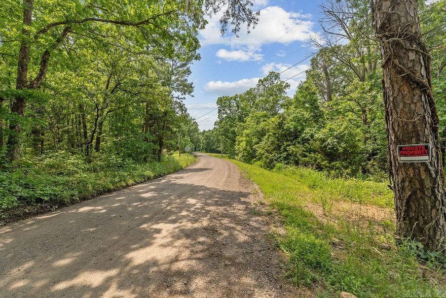 Approximately 58 acres, more or less, located with valuable Highway 65 frontage, this versatile property offers a mix of cleared and wooded land, featuring a blend of mature timber and pine. A home with no current value sits on the property, along with a metal storage container for convenient equipment or supply storage. Water and electric are already on-site, adding to the property's potential for development or recreational use. A pond enhances the landscape, providing a water source for wildlife or livestock. With a combination of open space and wooded areas, this land is ideal for hunting, building, or investment purposes.