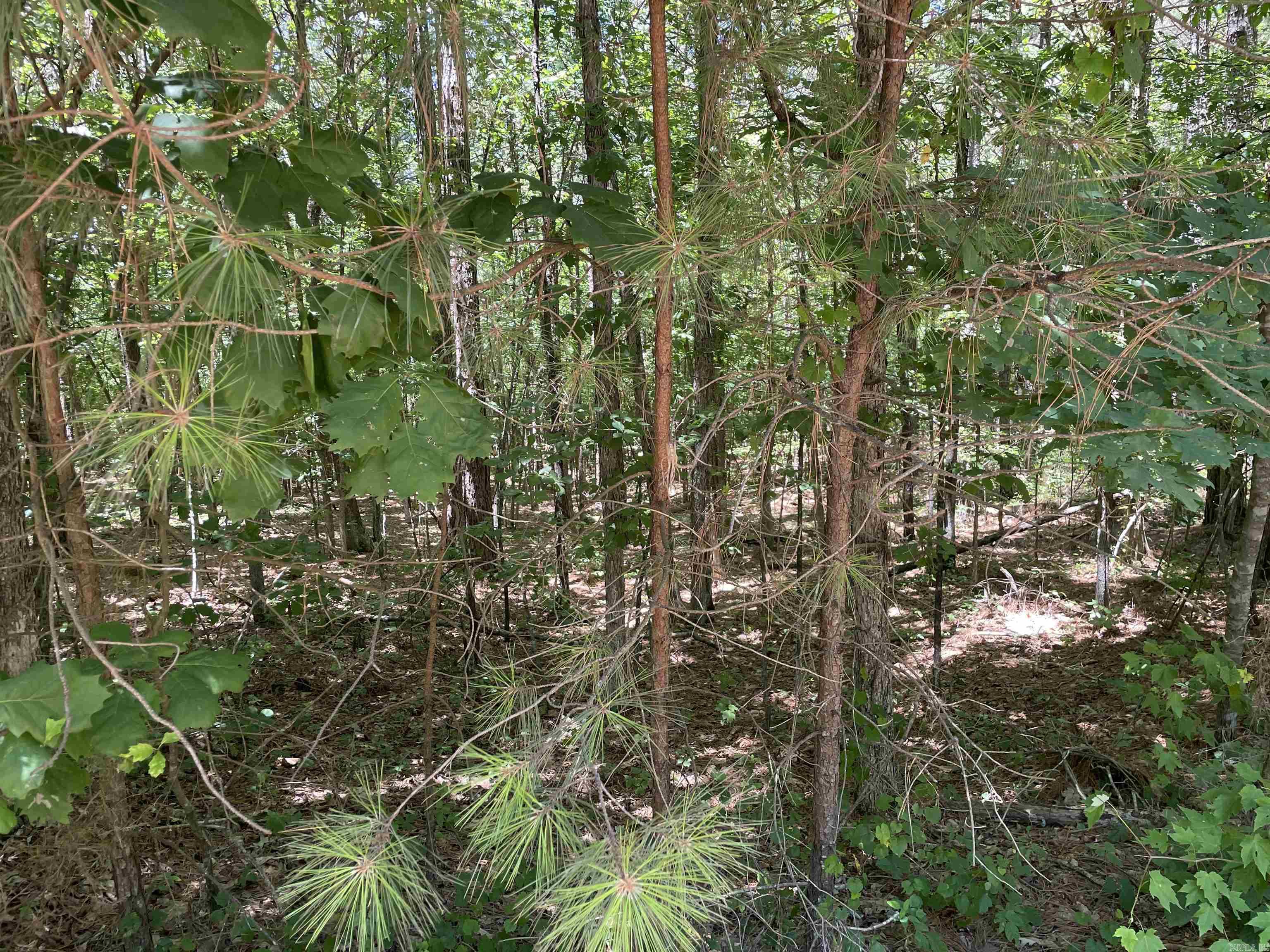 Holley Mountain Airpark - Land