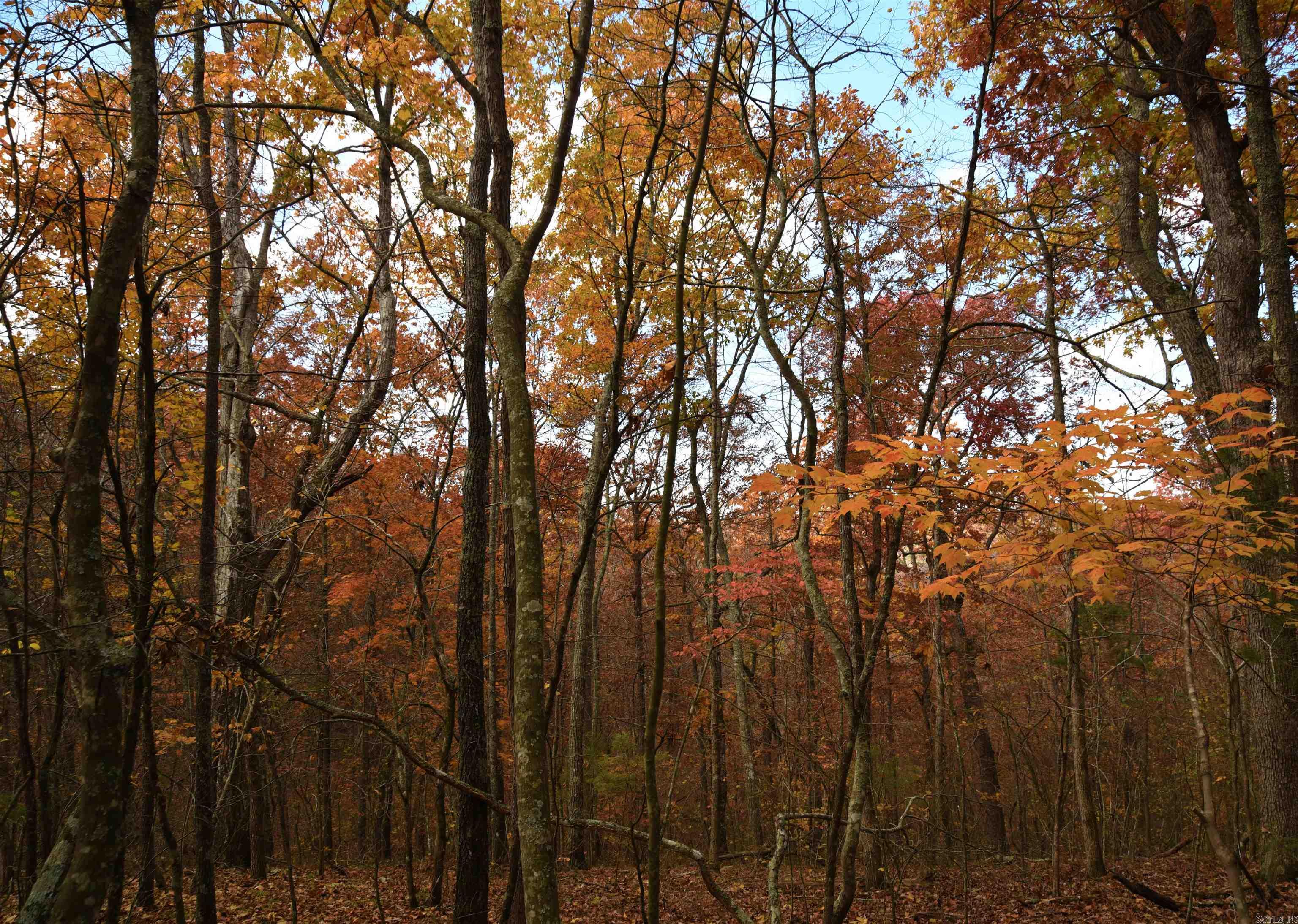 Holley Mountain Airpark - Land