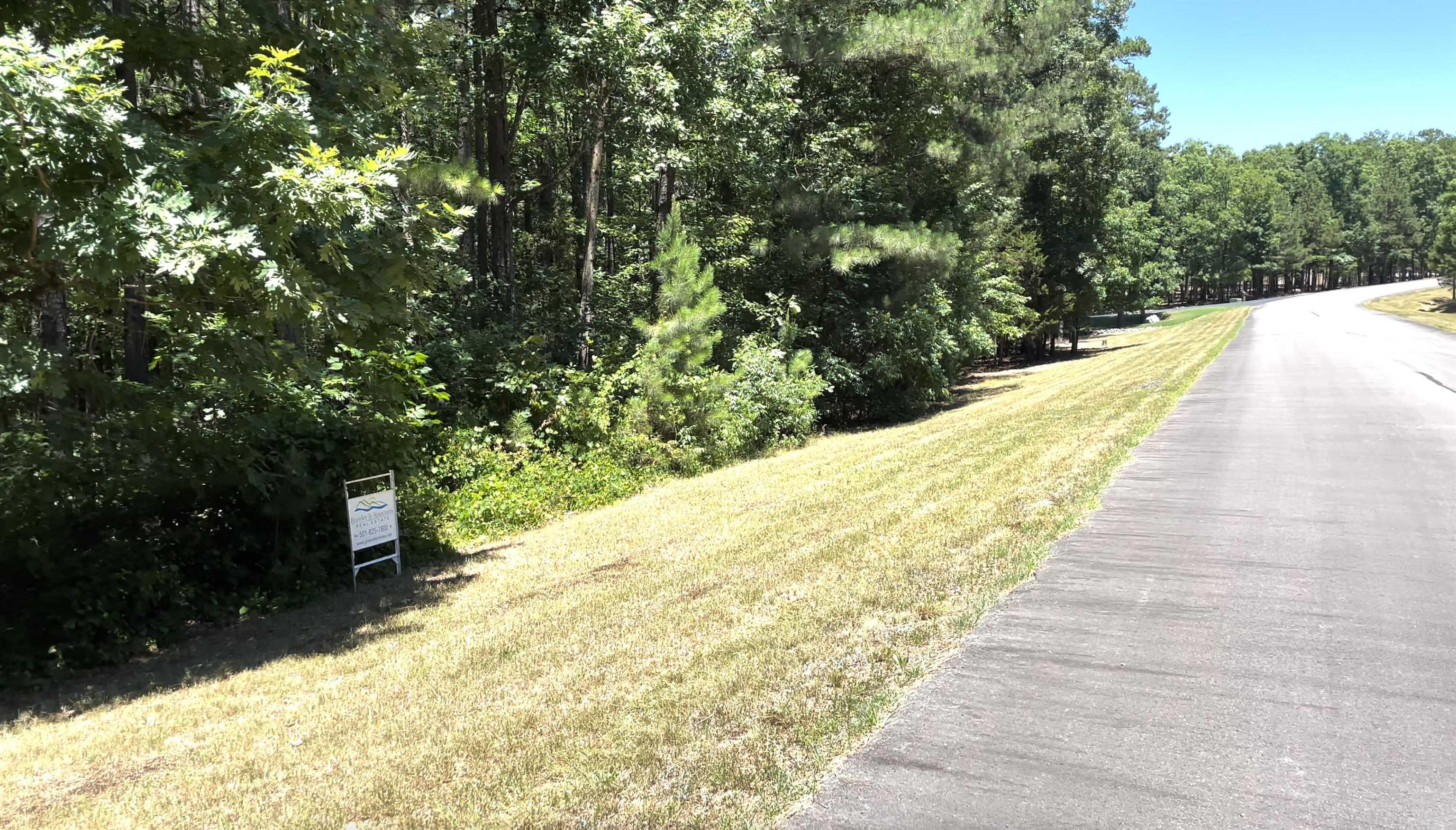Holley Mountain Airpark - Land