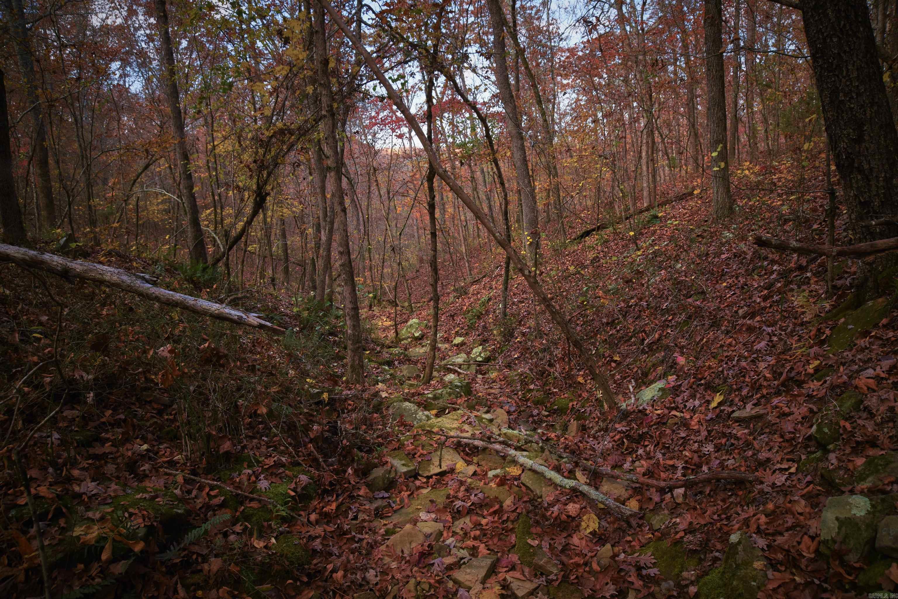 Holley Mountain Airpark - Land