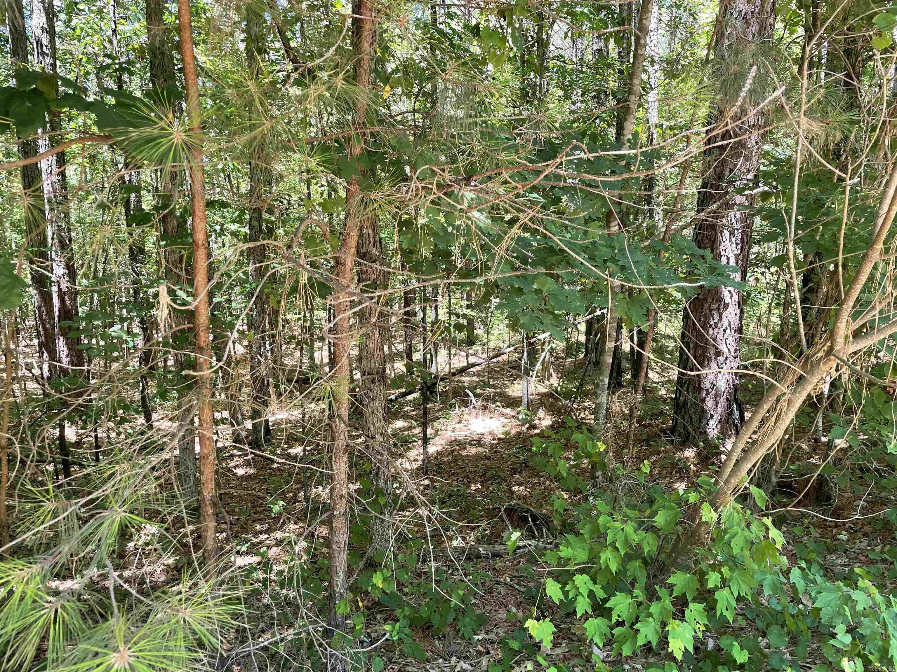 Holley Mountain Airpark - Land