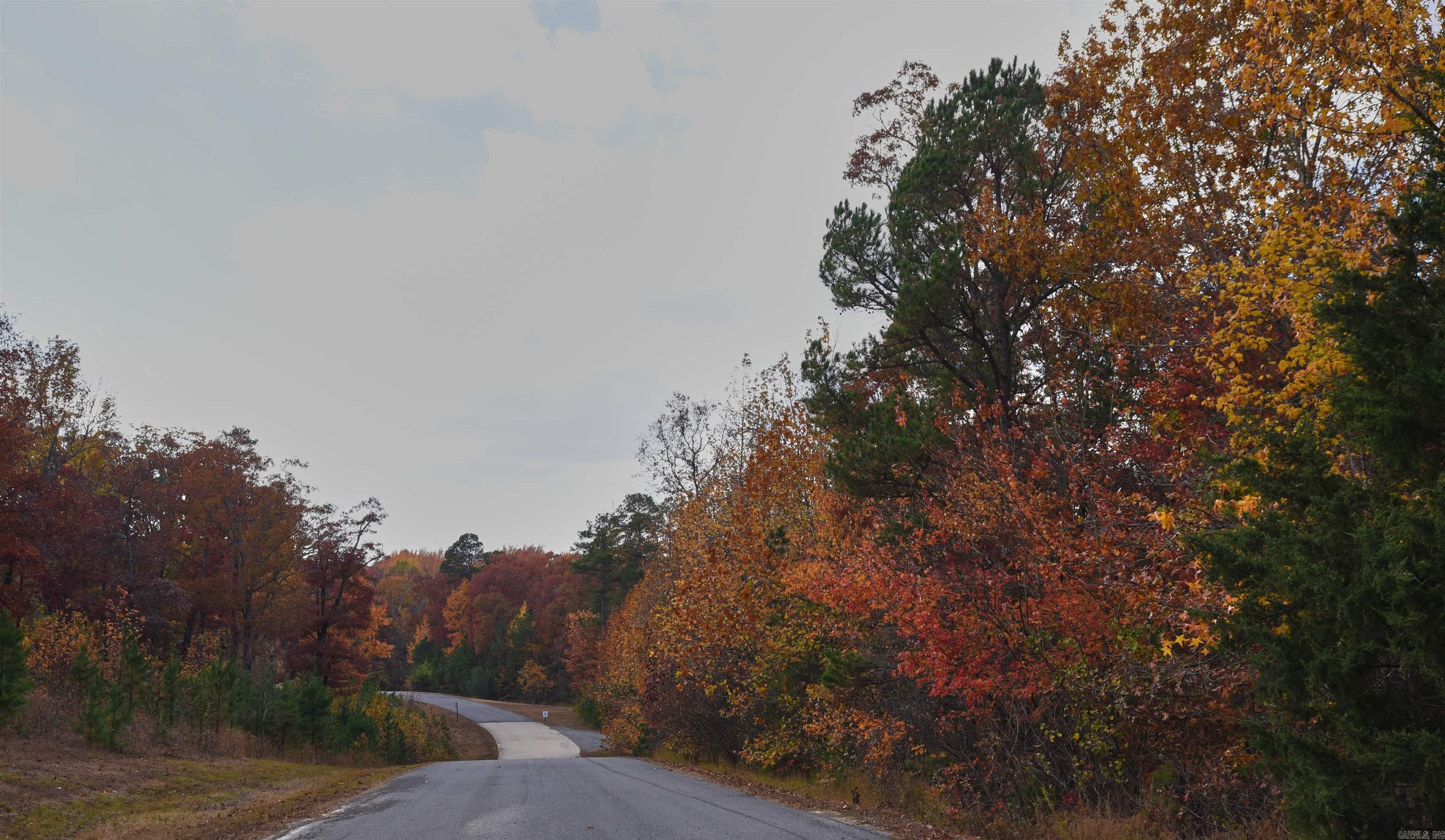 Holley Mountain Airpark - Land
