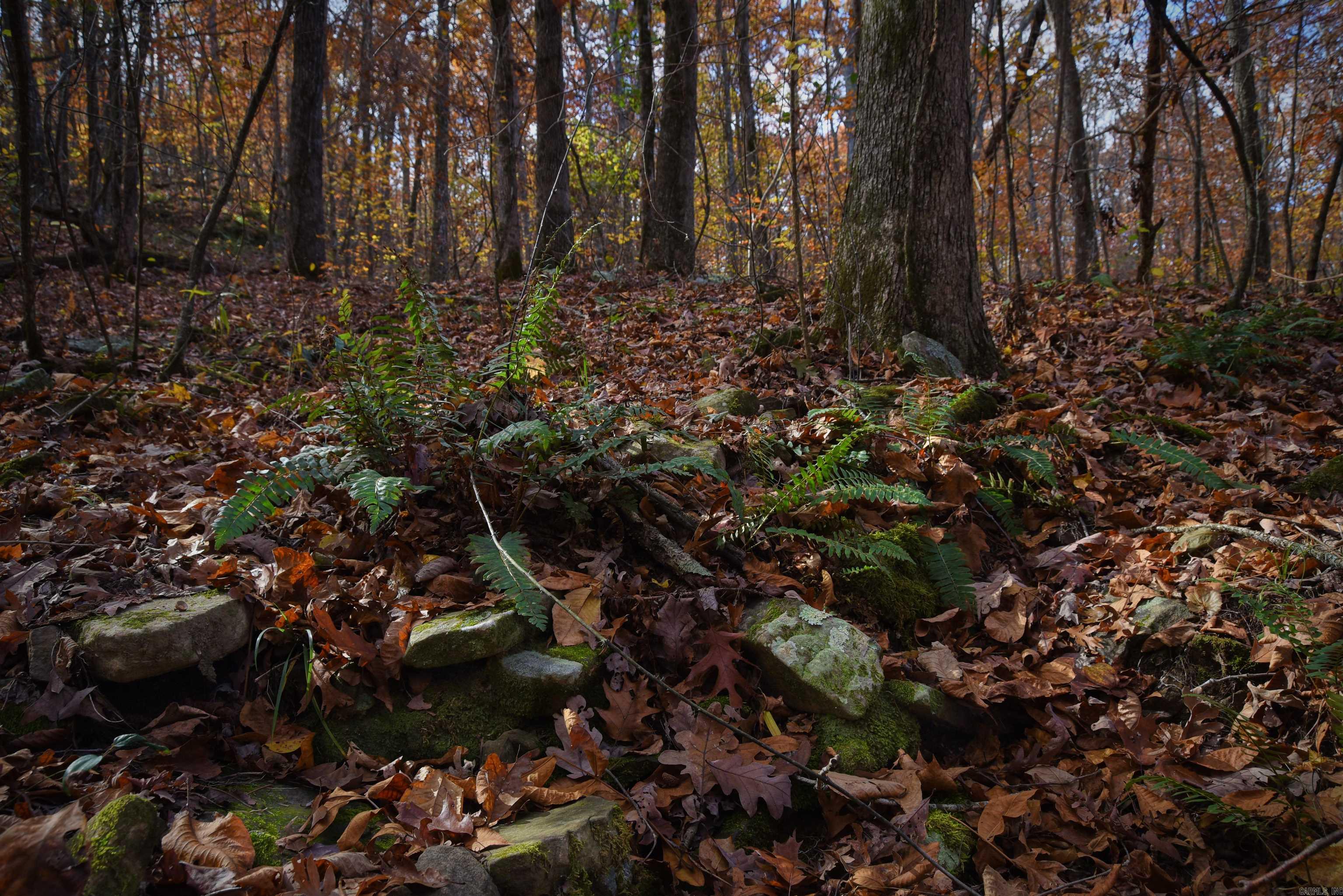Holley Mountain Airpark - Land