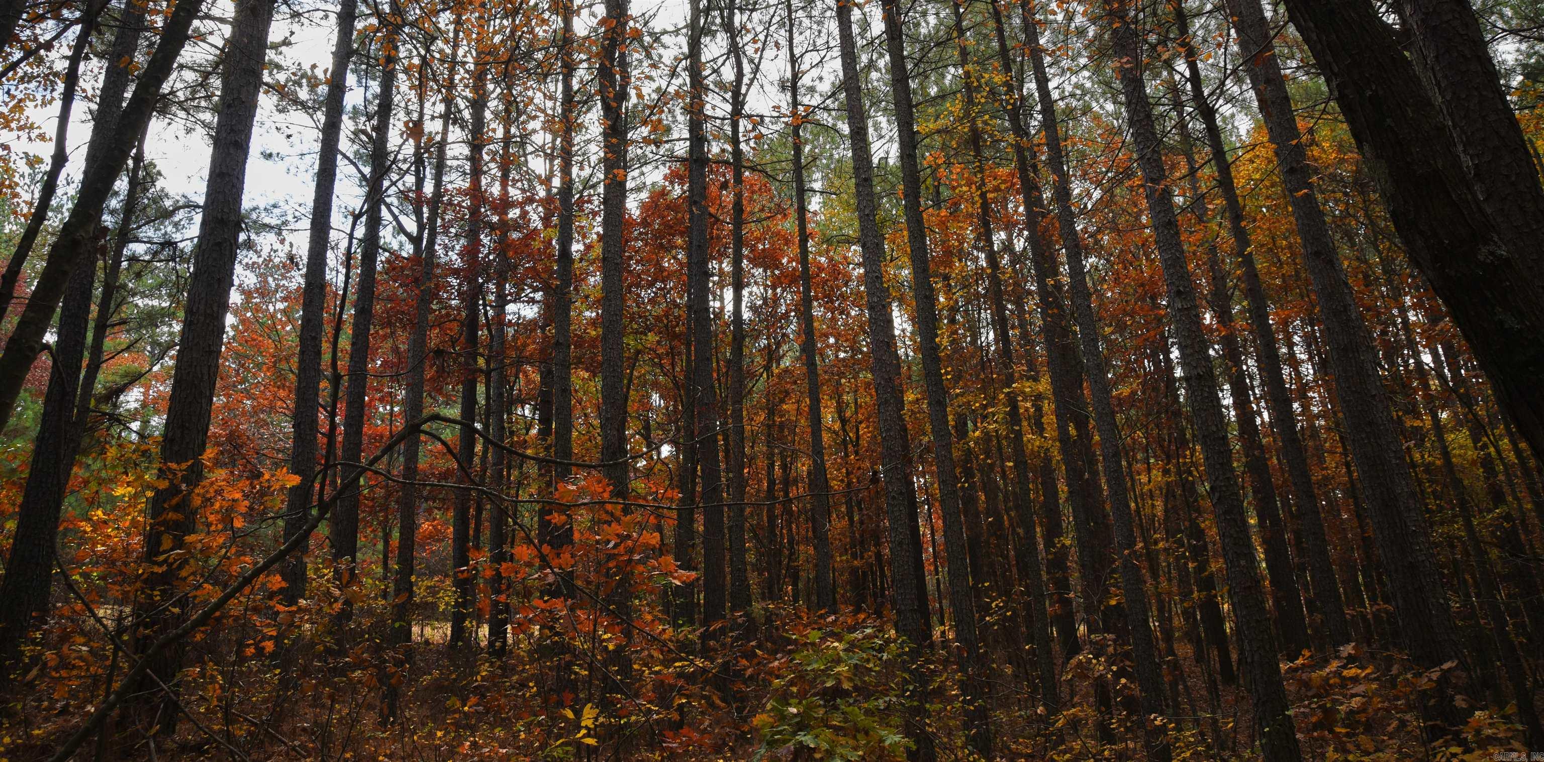 Holley Mountain Airpark - Land