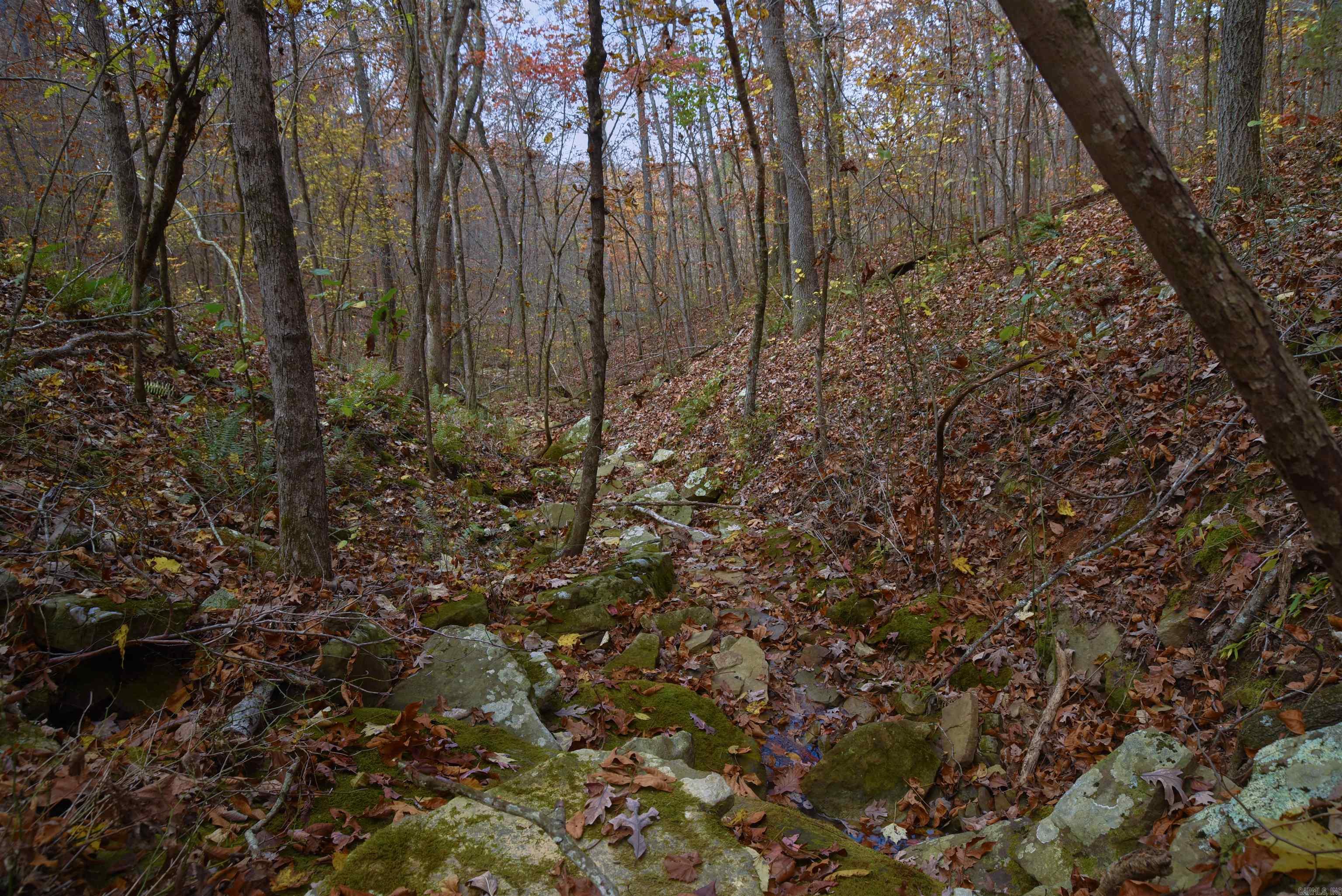 Holley Mountain Airpark - Land
