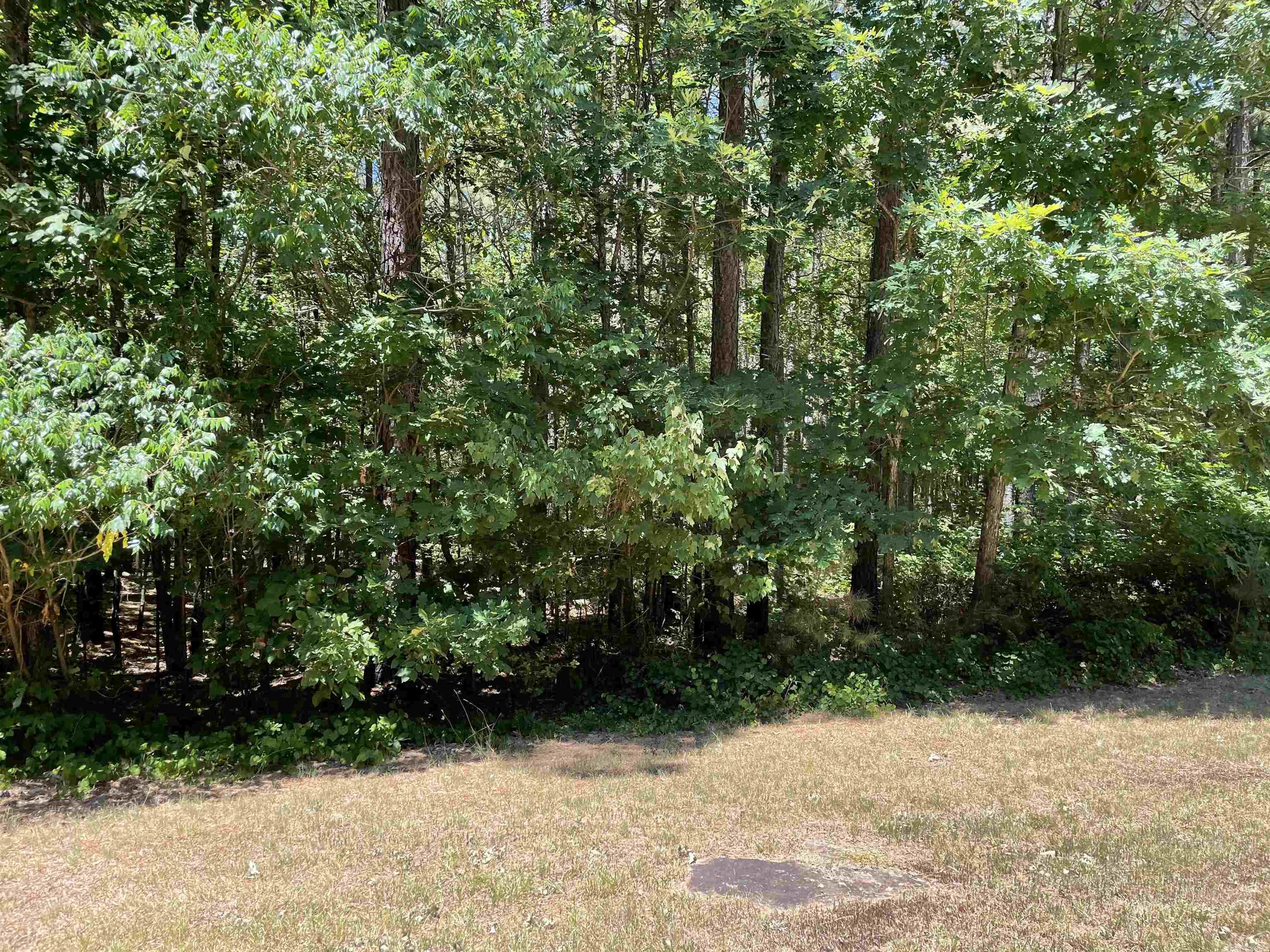 Holley Mountain Airpark - Land