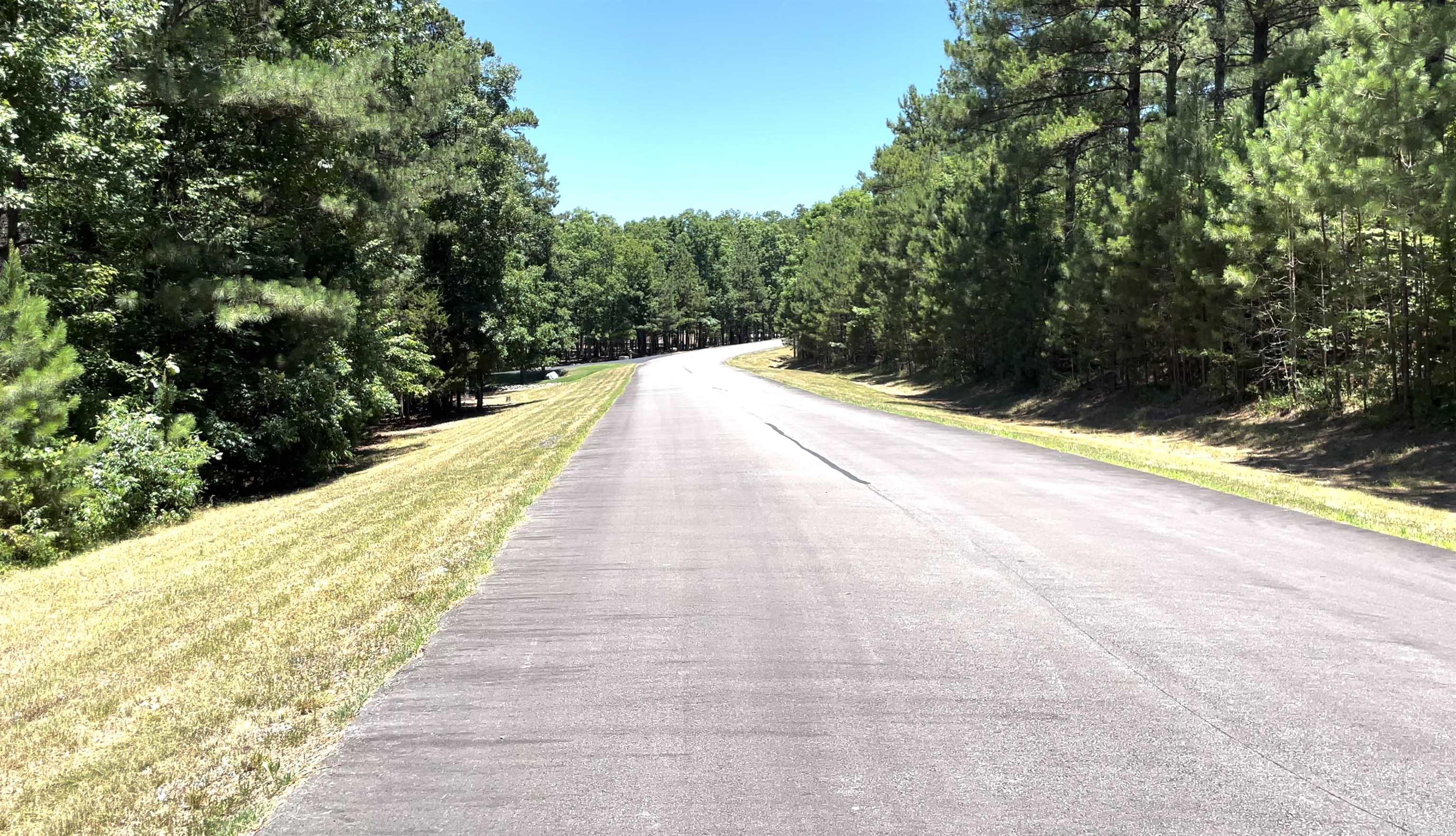 Holley Mountain Airpark - Land